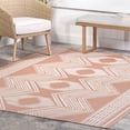 thumbnail image 3 of nuLOOM Ranya Tribal Indoor/Outdoor Blush Pink 8' x 10' Casual Area Rug, 3 of 9