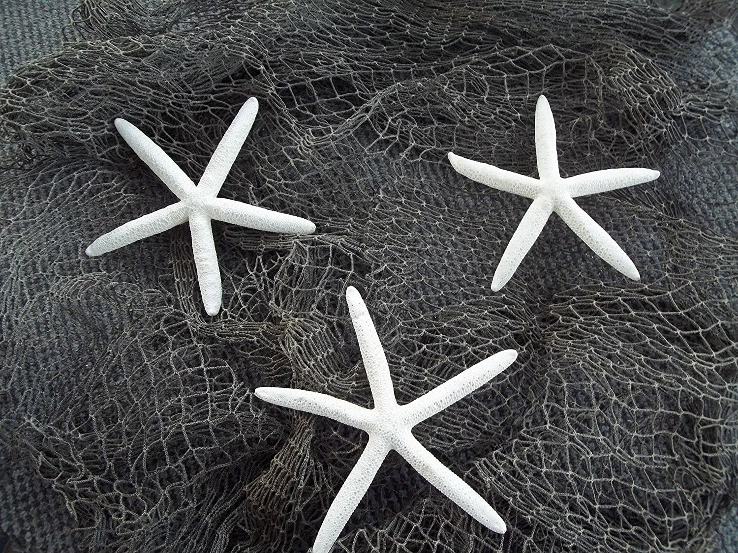 - 3 White Starfish, White starfish. By 9GreenBox - Walmart.com - Walmart.com