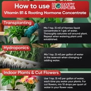 Hormex Vitamin B1 Rooting Hormone – Root Stimulator for Fast Root Growth & Stronger Plants – 16oz