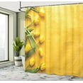 thumbnail image 4 of Ambesonne Yellow Shower Curtain, Tulip Flowers Garden, 69"Wx75"L, Yellow Green, 4 of 4