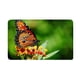 thumbnail image 3 of Alfombras de , Alfombra de , de 3 Alfombrillas Franela Y Alfombrillas apariencia de U, 12 Patrones de Mariposas Mariposa 2 Gloria Conjunto de alfombra de baño, 3 of 6