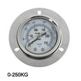thumbnail image 2 of for Yn-50Zt Axial with Shock-Resistant Edge Pressure Gauge, Oil Pressure Gauge 0-250Kg, 2 of 9