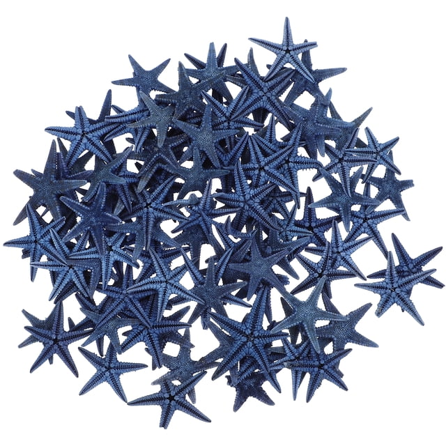 Shisuyan Blue Natural Starfish Decor for Fish Tank and Desktop Decoration 100pcs Realistic Sea Star Craft