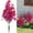 Purple, variant on Fmxomd 22" Artificial Boxwood Topiary Ball Trees with Colorful Flowers, Fake Bushes Shrubs with Ground Spike, UV Resistant Faux Evergreen Tree for Front Porch Outdoor Garden Decor