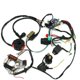 thumbnail image 3 of unbranded 1Jgo Arnés De Cables Cdi Para Motocicleta Atv Con Material Ligero Y Uso, 3 of 8