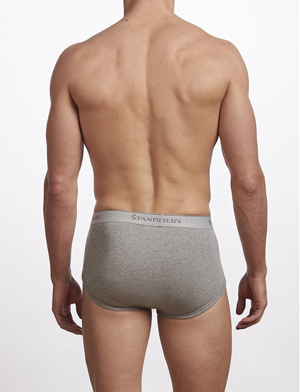 Stanfield's Men's 3 Pack Premium Cotton Regular Rise Briefs Underwear