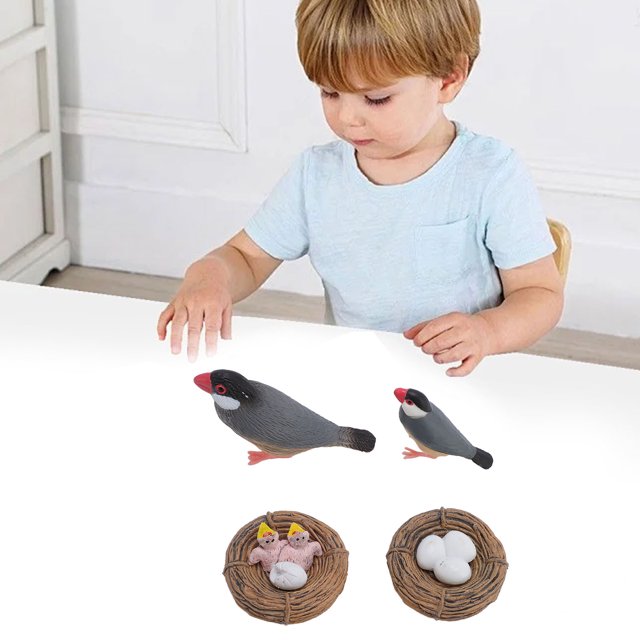 Simulated Bird Models, Vibrant Colors 4 Pieces Set Bird Model Toy PVC Material for Sand Box Decoration