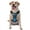 With Accessories, variant on Vsdgher Night Sky Moon Dolphin Pattern Dog Harness,No Pull Pet Harness with Soft Padded Handle,Adjustable Reflective Vest with 2 Buckles,4 Slide Buckles,S-XL