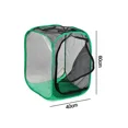 thumbnail image 5 of Insect And Butterfly Habitat Cage Pop-up Inches Tall, 5 of 5