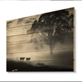 thumbnail image 2 of Designart "Morning Grazing Cattle Misty painting II" Animals Print on Natural Pine Wood, 2 of 5
