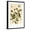 Black Frame, variant on Art.com Botanical Image of Tea Plant Stretched Canvas Print Wall Art, 16" x 24"