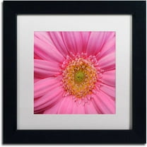 Trademark Fine Art "Pink" Canvas Art by Kurt Shaffer White Matte, Black Frame