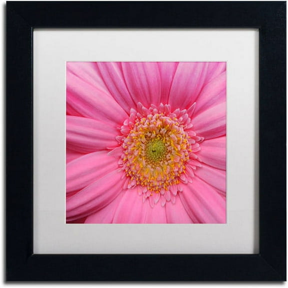 Trademark Fine Art "Pink" Canvas Art by Kurt Shaffer White Matte, Black Frame