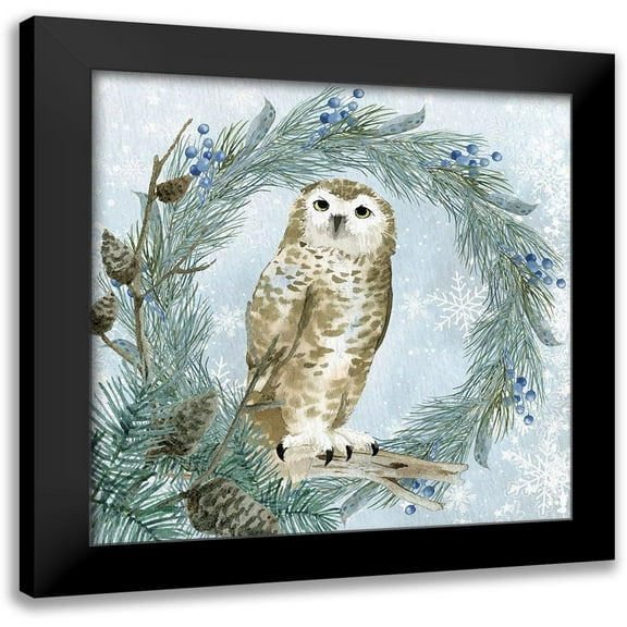 Allen, Kimberly 12x12 Black Modern Framed Museum Art Print Titled - Winter Owl 3
