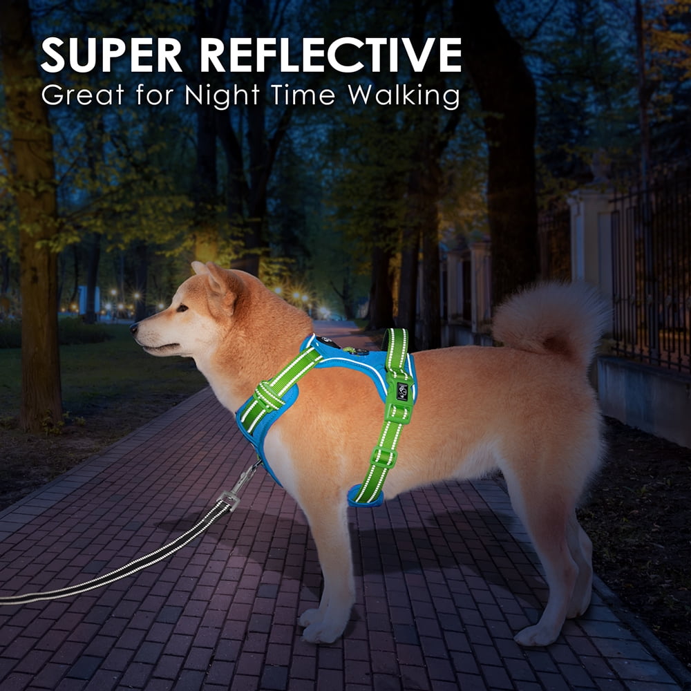 PHOEPET No Pull Dog Harness, Unique Colors Reflective Adjustable Dog Vest, with Soft Training Handle Metal Clips for Small Medium Large Dogs (Blue Base & Green Straps)