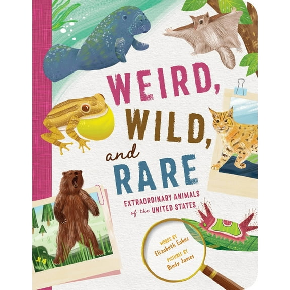 Weird, Wild, and Rare: Extraordinary Animals of the United States, (Paperback)