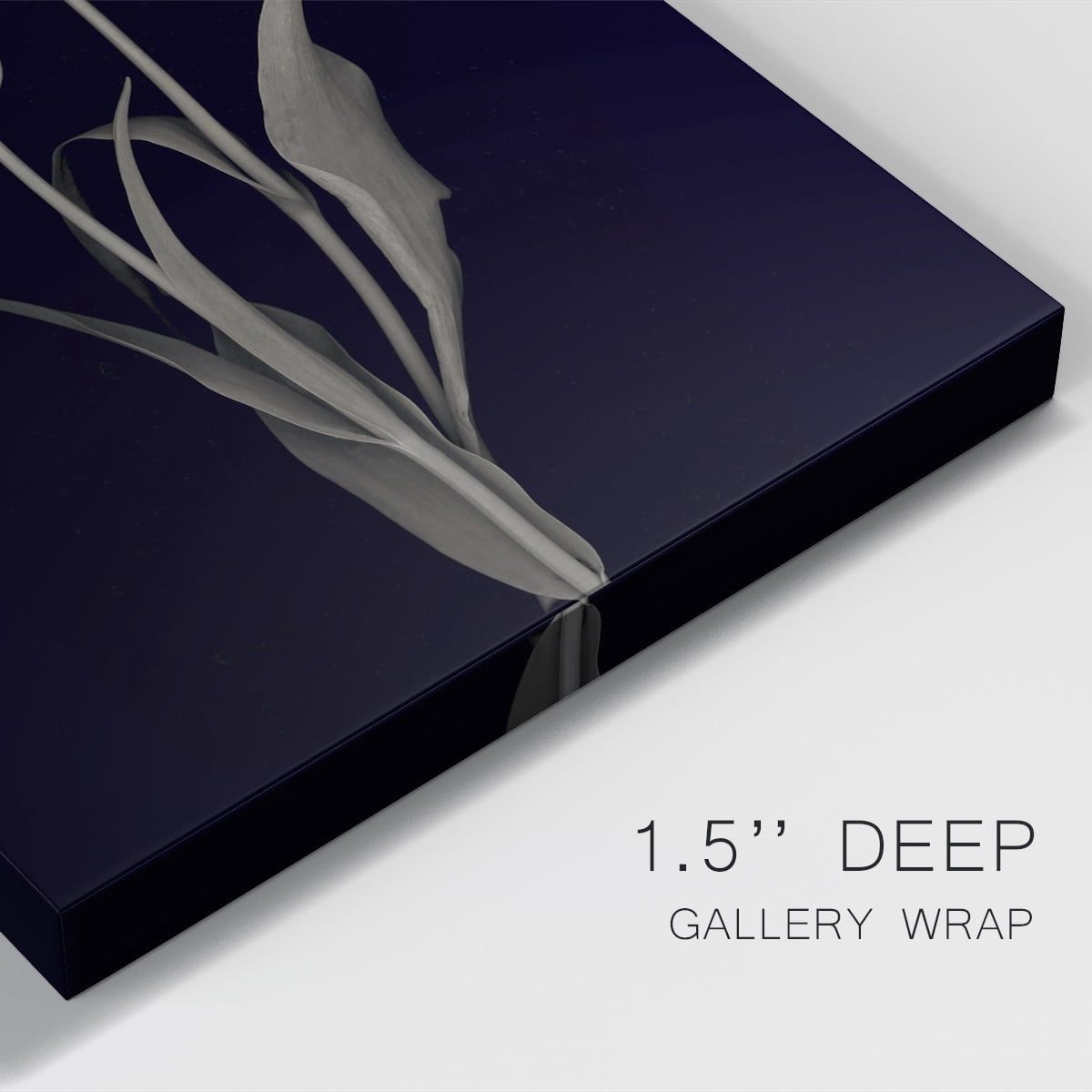 Tulip Pose II Premium Gallery Wrapped Canvas - Ready to Hang