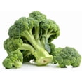thumbnail image 4 of GSDWIUEW 300 Broccoli Seeds-Heirloom Seeds for Planting-USA Grown Broccoli Sprouts and Microgreens, 4 of 4