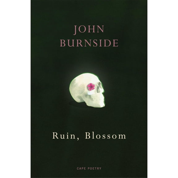 Ruin, Blossom John Burnside (Paperback)
