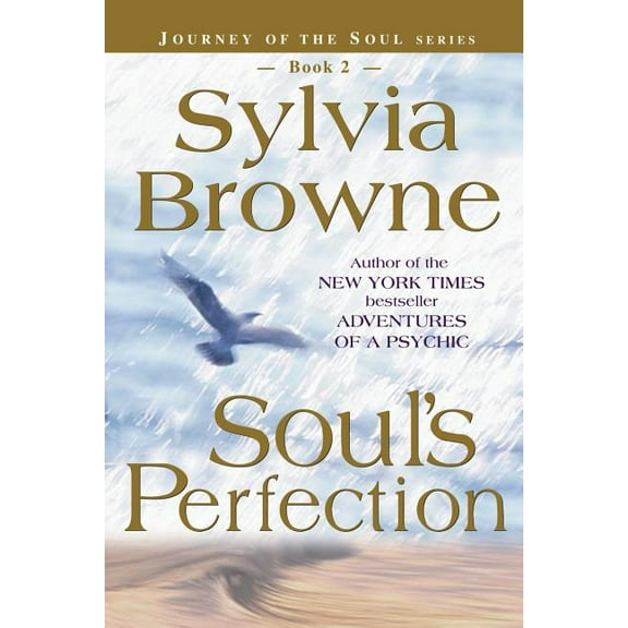 Journey of the Soul Soul's Perfection, Book 02, (Paperback)