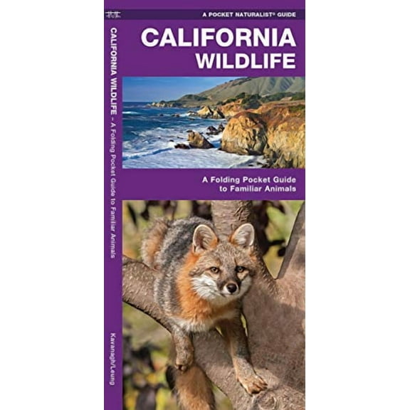 California Wildlife: A Folding Pocket Guide to Familiar Species