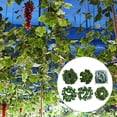 thumbnail image 3 of MYG 12Pcs Artificial Hanging Plants Long Green Grape Creeper Green Basket Garland, 3 of 6