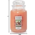 thumbnail image 3 of Yankee Candle Garden Hideaway Collection Garden Picnic 22-oz. Large Jar Candle, 3 of 3