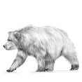 thumbnail image 3 of Wang, Melissa 14x12 Black Modern Framed Museum Art Print Titled - Wildlife Trail III, 3 of 5