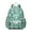 Cute Pitbull Terriers-1, variant on Dachshund and Flower Backpack for School,Cute School Bag,Schoolbag with Adjustable Shoulder Straps & Padded Back,13.4"x11"x4.7"