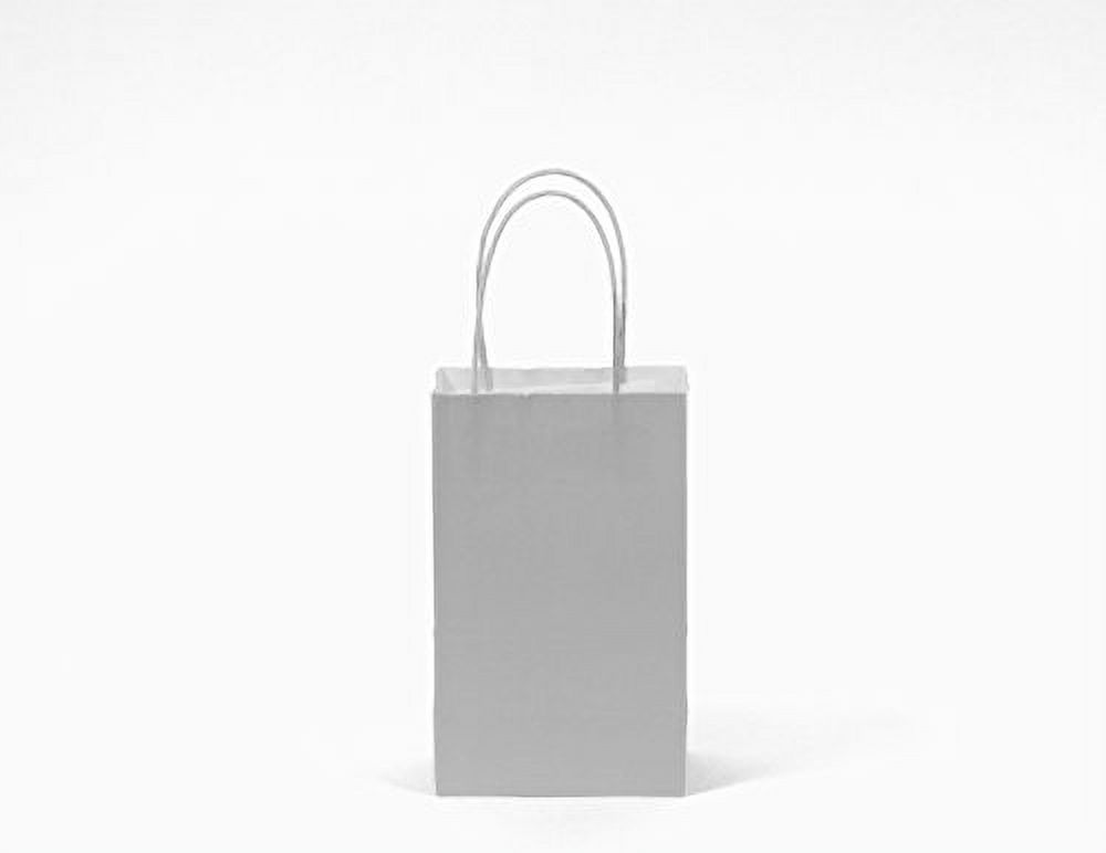 Gift Expressions White Gift Bags, 12 Count