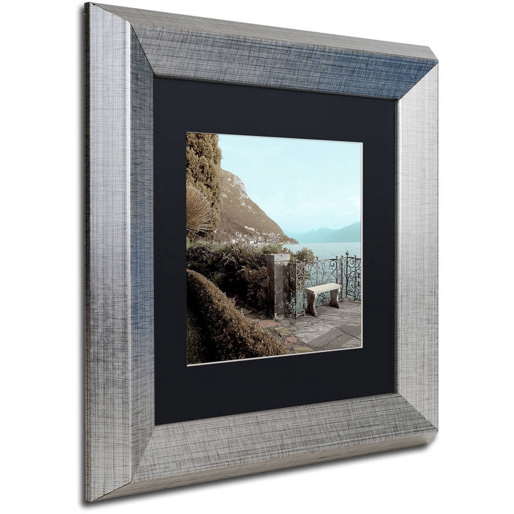 Trademark Fine Art "Lake Vista IV" Canvas Art by Alan Blaustein, Black Matte, Silver Frame