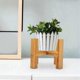 thumbnail image 5 of Wooden Four-Legged Plant Stand for Flower Pots and Succulents Garden Patio Display Shelf Home Decor Base Holder, 5 of 5