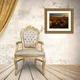 thumbnail image 3 of Jaynes Gallery 14x12 Gold Ornate Wood Framed with Double Matting Museum Art Print Titled - USA-Arizona-Kofa National Wildlife Area-Mountain and desert landscape at sunrise, 3 of 4