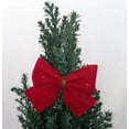 thumbnail image 3 of Blue European Cypress Christmas Tree - Indoors/Out - 4" Pot - Decorated, 3 of 3
