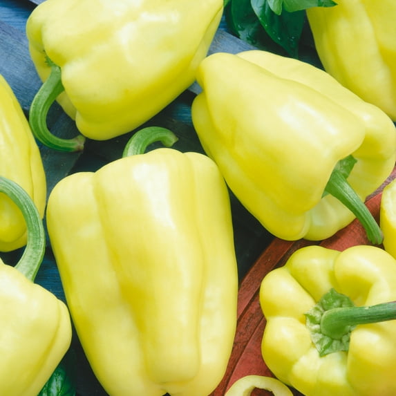 White Zinfandel F1 Hybrid Sweet Pepper Seeds - 5 Lb Bulk ~320000 Seeds - Non-GMO, F1 Hybrid - Vegetable Garden - Capsicum annuum