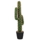 thumbnail image 3 of Estatua de cactus artificial, cactus grande en maceta, planta de simulación, bonsái, decoración de plantas tropicales, 3 of 3