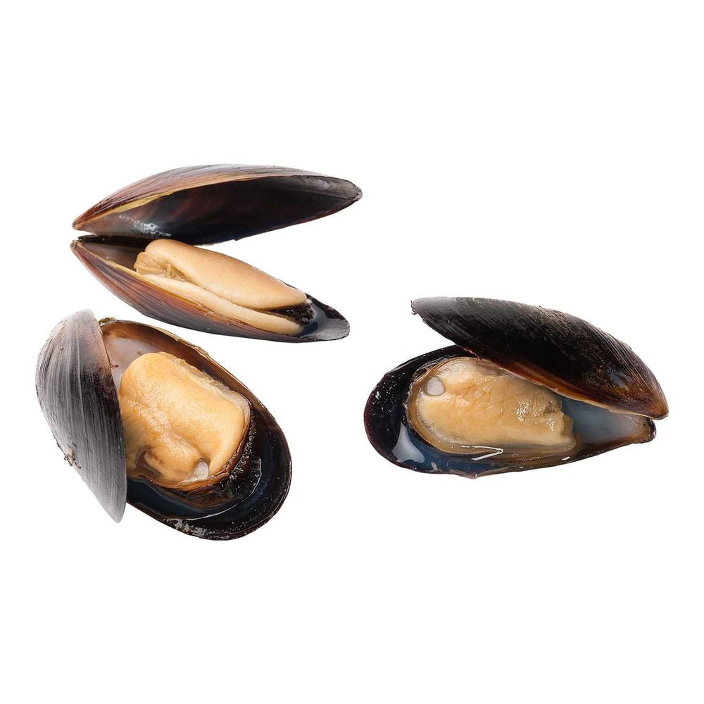 Pana Pesca Blue Whole Shell Mussel, 1 Pound -- 10 per Case.
