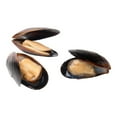 thumbnail image 3 of Pana Pesca Blue Whole Shell Mussel, 1 Pound -- 10 per Case., 3 of 5