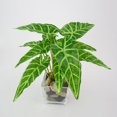 thumbnail image 3 of Farfi Follaje falso follaje verde interior al aire libre planta artificial jardín de la oficina decoración Farfi 91564, 3 of 5