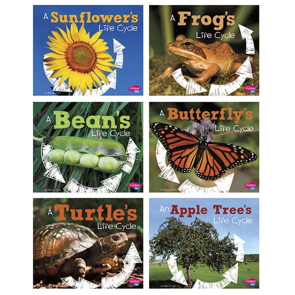Explore Life Cycles, Set Of 6 Books