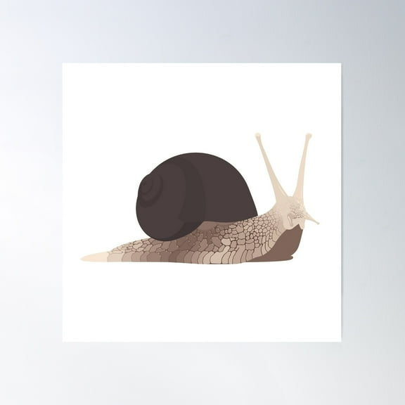 Garden Snail Poster Wall Art, Modern Wall Decor For Living Room Bedroom, 8x12 UNFRAMED