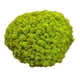 thumbnail image 2 of Adornos de musgo artificial decorativo de 25 g para decorar el dormitorio y eventos especiales. Verde, 2 of 9