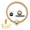thumbnail image 3 of Collar De Cadena De Perro Dorado Con Etiqueta Y Piedras De C, 3 of 7