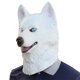thumbnail image 3 of Máscara de Halloween, máscara de cabeza de animal de látex de perro husky, máscaras de goma para disfraz novedoso, fiesta de carnaval de Halloween, máscara de látex divertida y complicada para perro m, 3 of 5