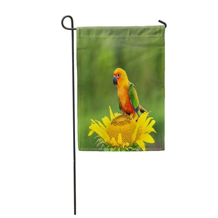 Bright Parrot Green - LADDKE Blue Beautiful Colorful Parrot Green Beak Bird Bright Garden Flag Decorative Flag House Banner 12x18 inch
