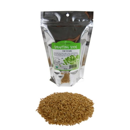 - Organic Hulled Oat Groats (Hull Removed): 1 Lbs - Non-GMO Oats - Cereal Grain - Emergency Food Storage, Grains, Rolling for Oatmeal, & More