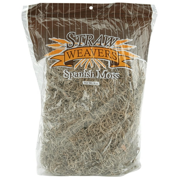 Natural Spanish Moss, 8 Oz.