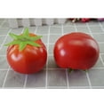 thumbnail image 2 of Sugeryy 5Pcs Artificial Tomatoes Simulation Fake Vegetable Photo Props Home Decoration;5Pcs Artificial Tomatoes Simulation Fake Veg, 2 of 6