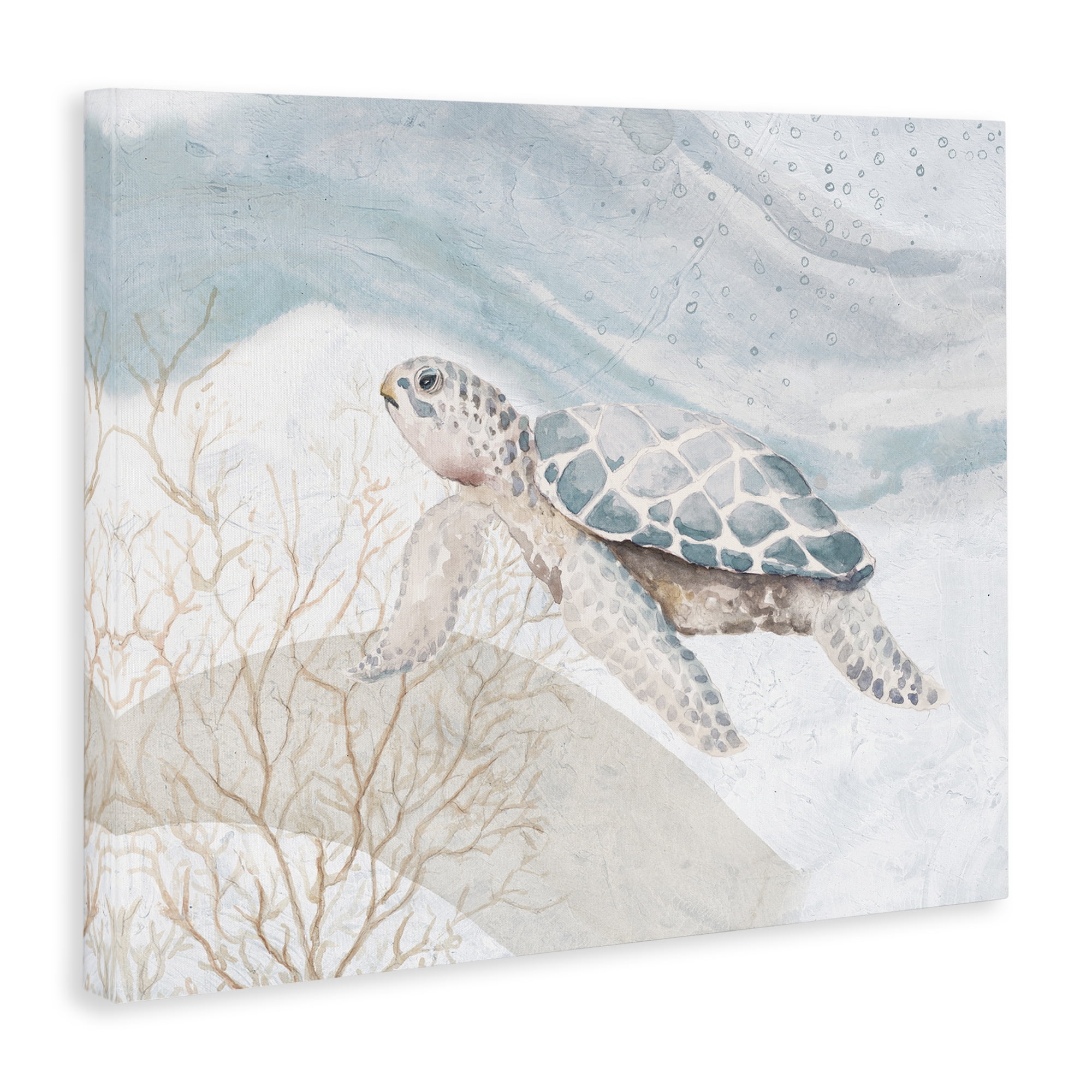 Stupell Industries Turtle on Brushed Pattern Animals & Insects Painting Gallery Wrapped Canvas Art Print Wall Art, 40 x 30