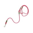 thumbnail image 1 of CAROOTU Multi-Function Dog Leash Durable Chain Rope Nylon Material Pet Supplies for Large and Medium Dogs, 1 of 6